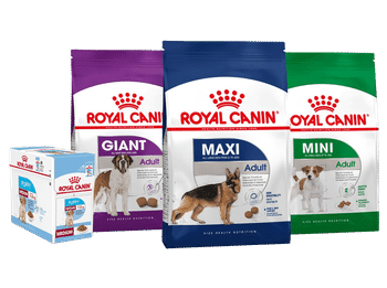 Royal Canin hondenvoer overzicht