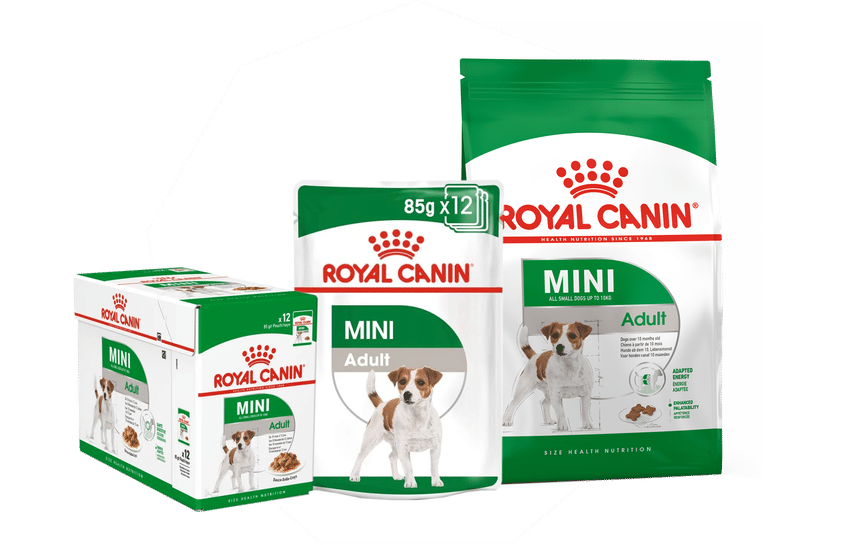 Royal Canin Mini Adult aanbiedingen