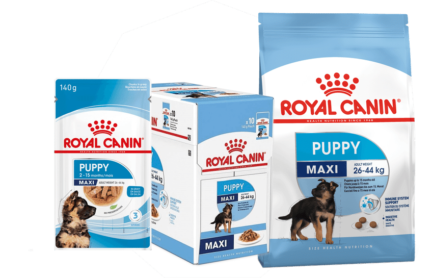 Royal Canin Maxi Puppy aanbiedingen